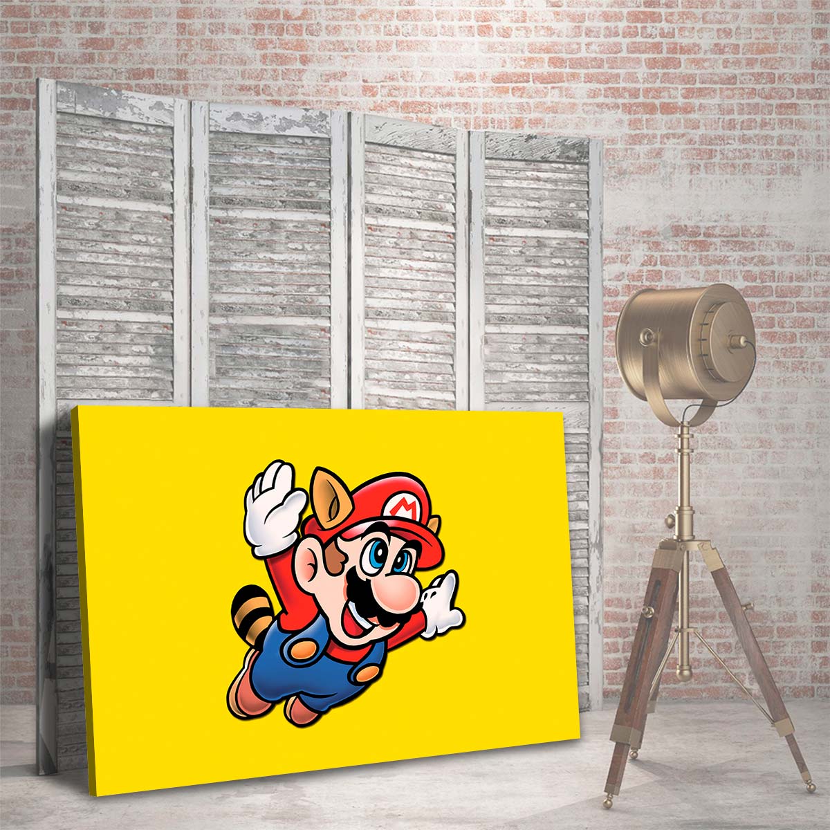 Super Mario Mapache