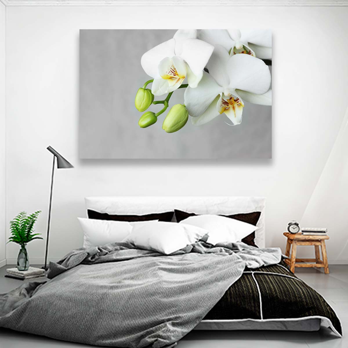 Flores Orquidea