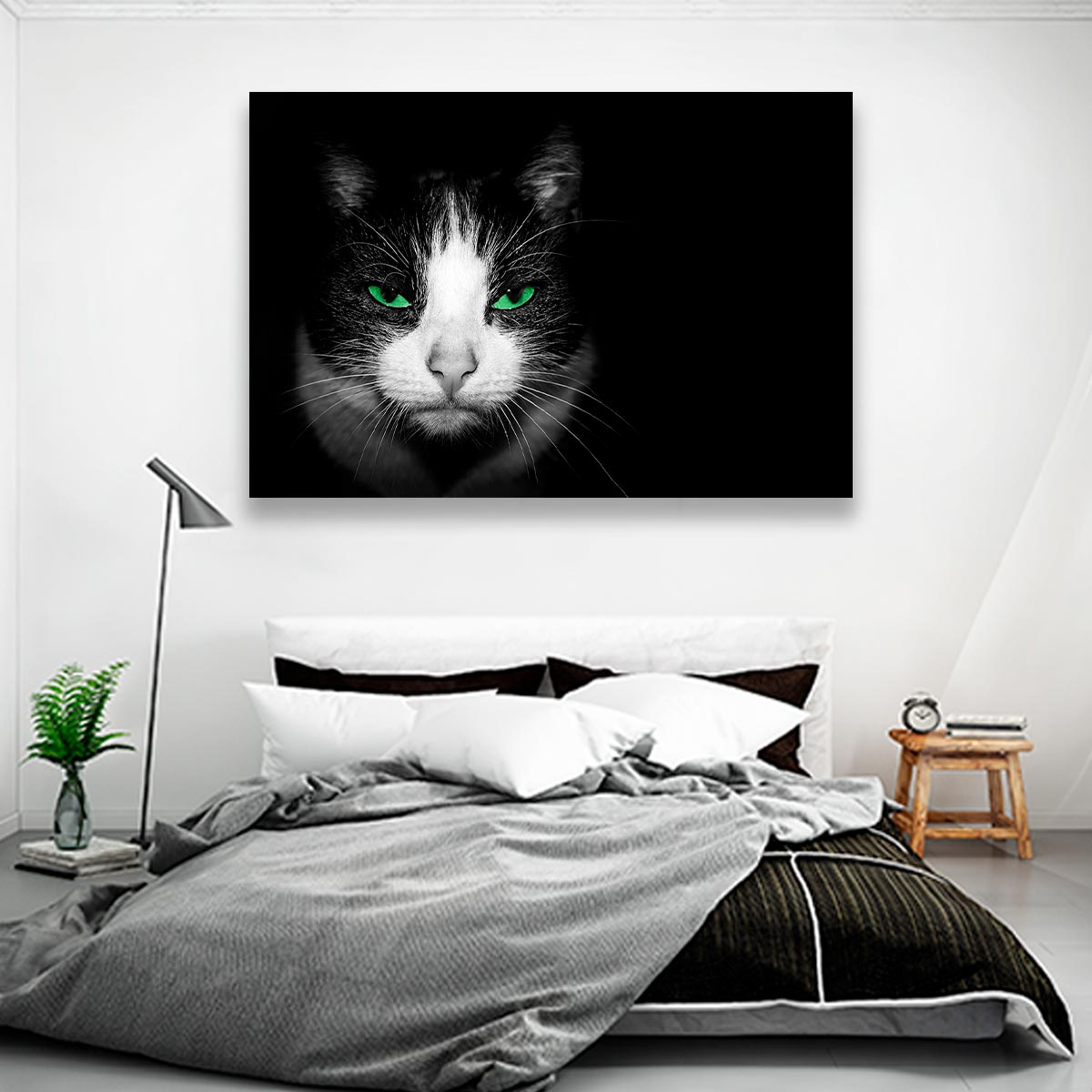 Gato con ojos verdes
