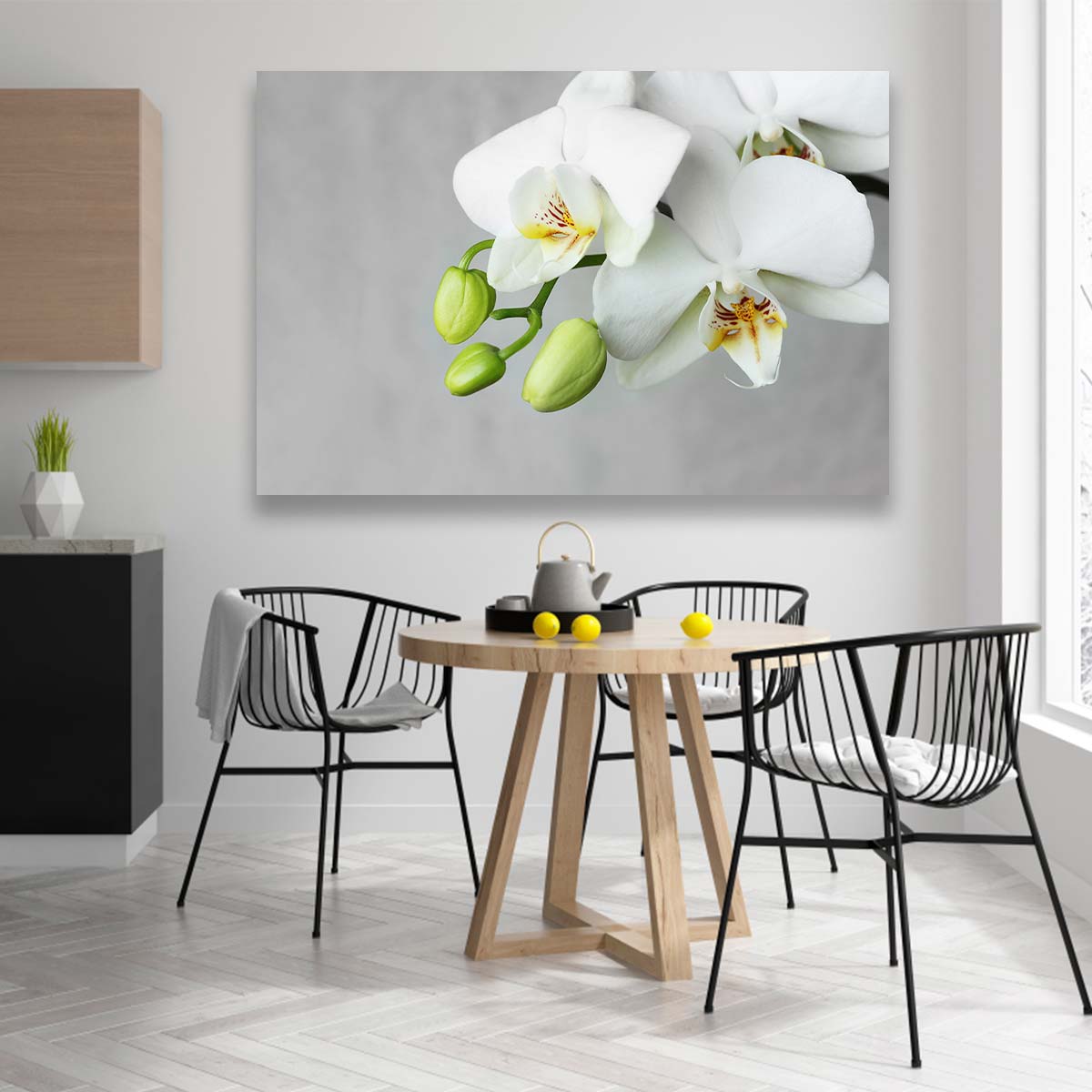 Flores Orquidea