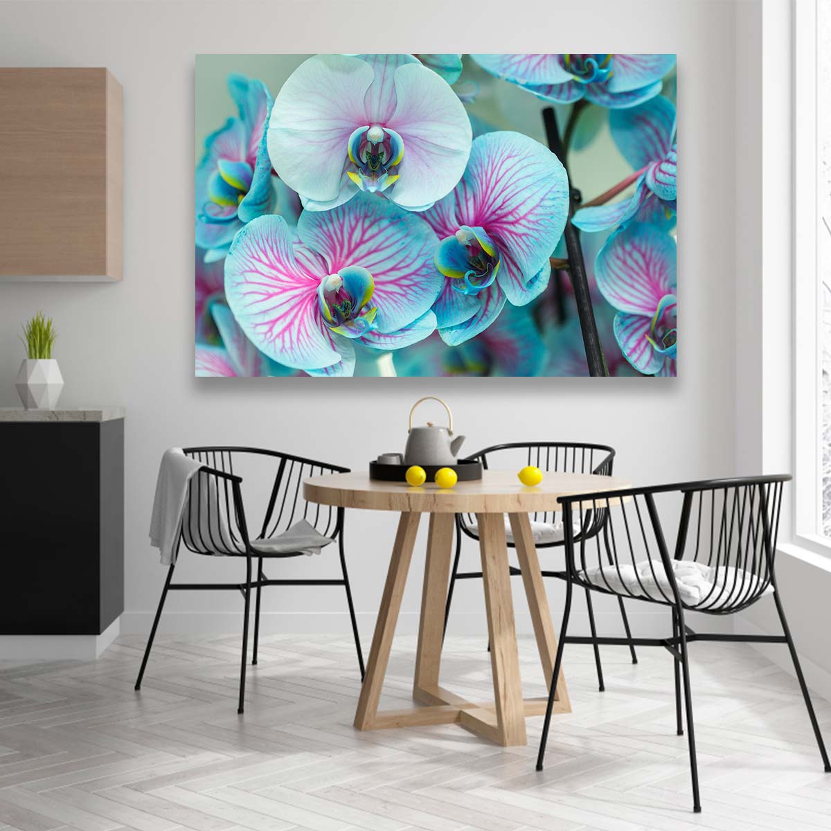 Orquídeas Azules claro