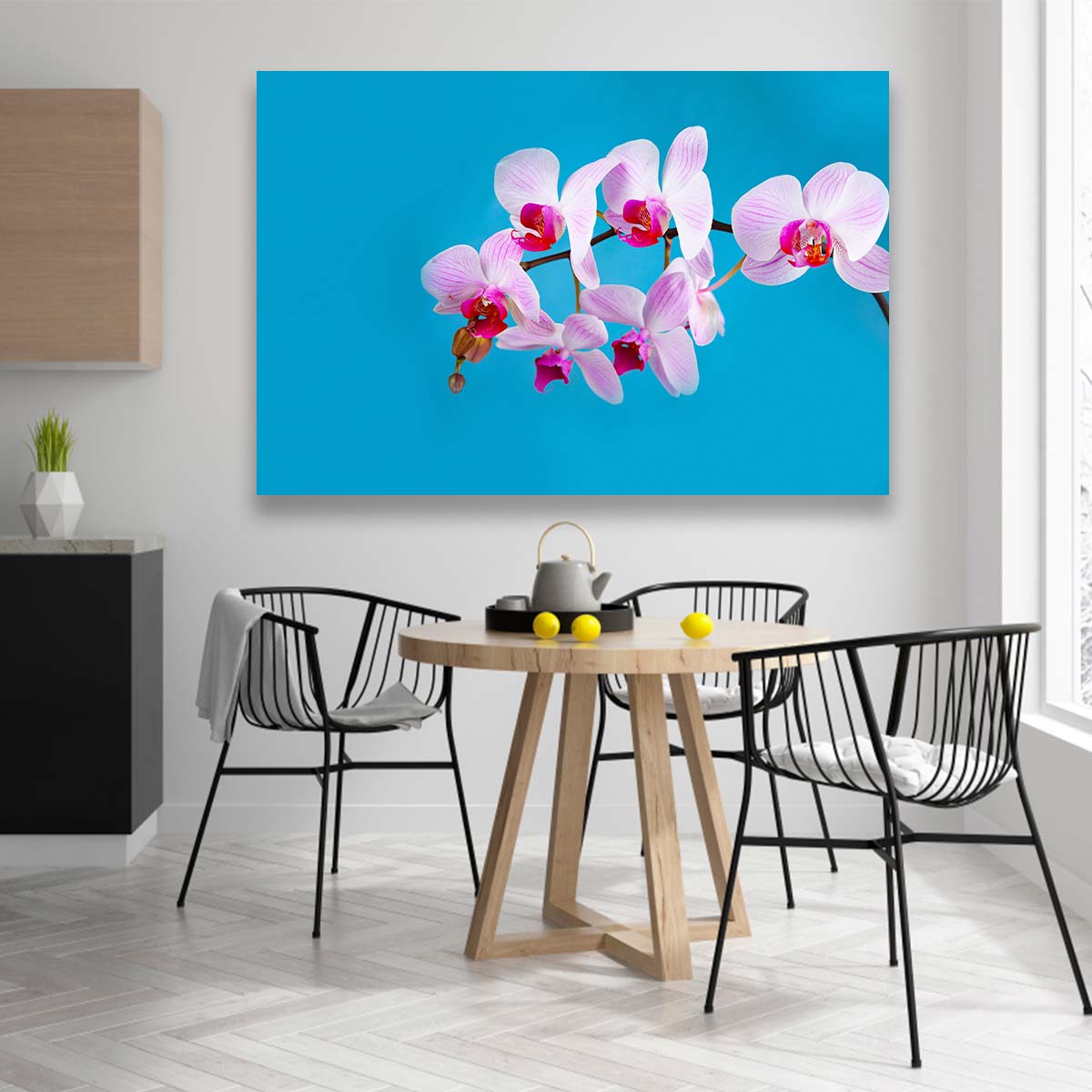Orquideas Rosas