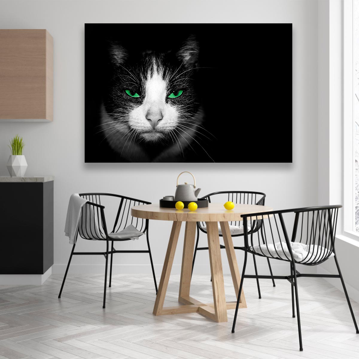 Gato con ojos verdes