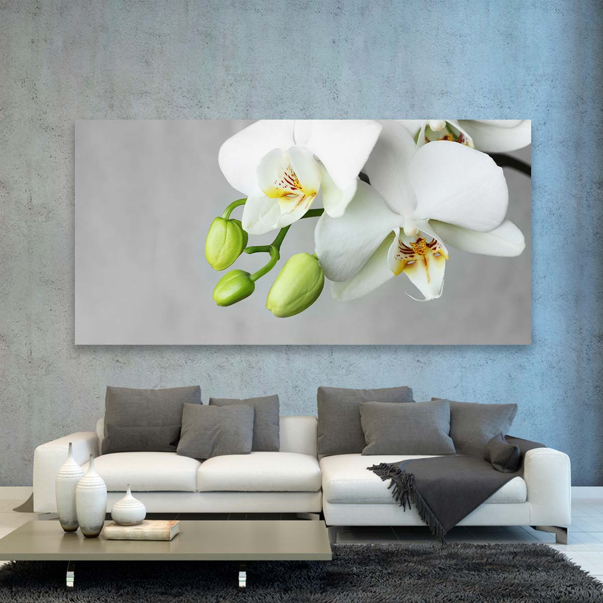 Flores Orquidea