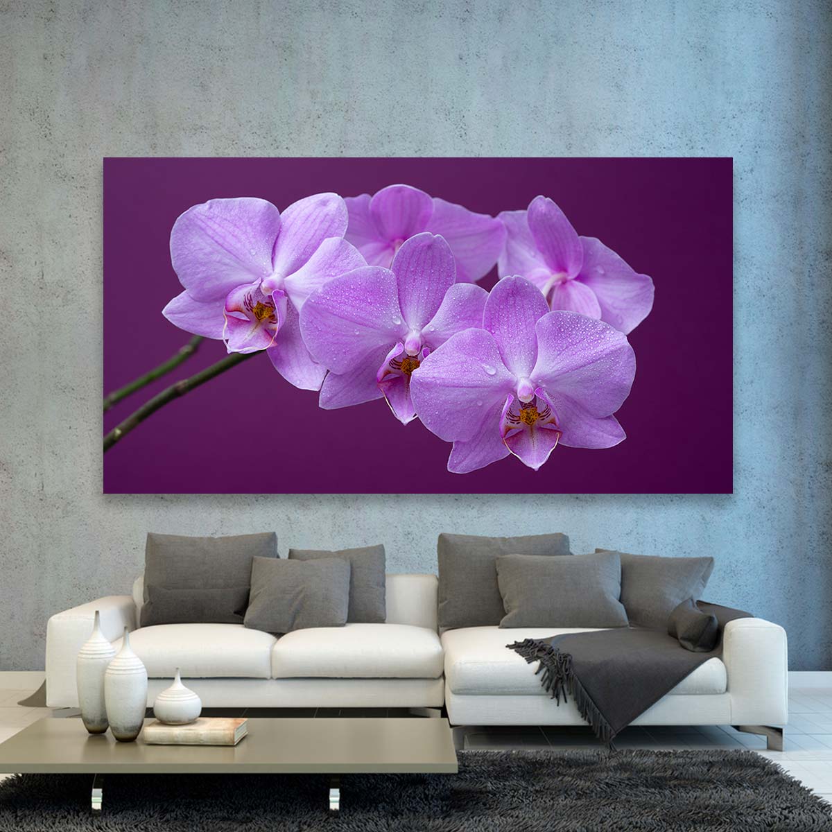 Orquideas Purpura