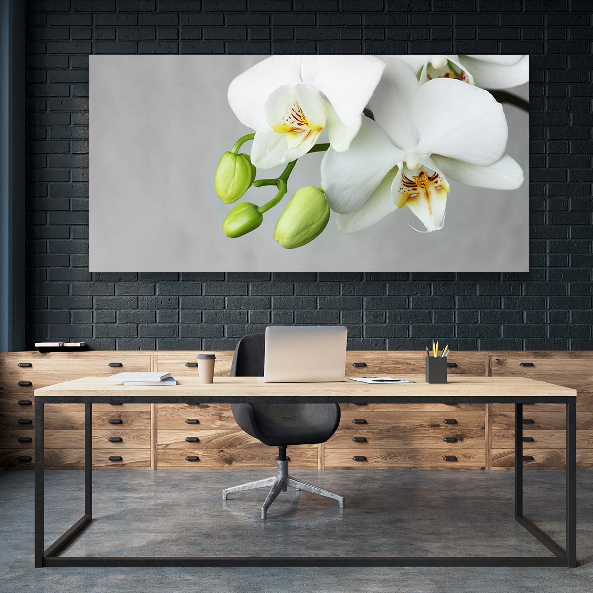 Flores Orquidea