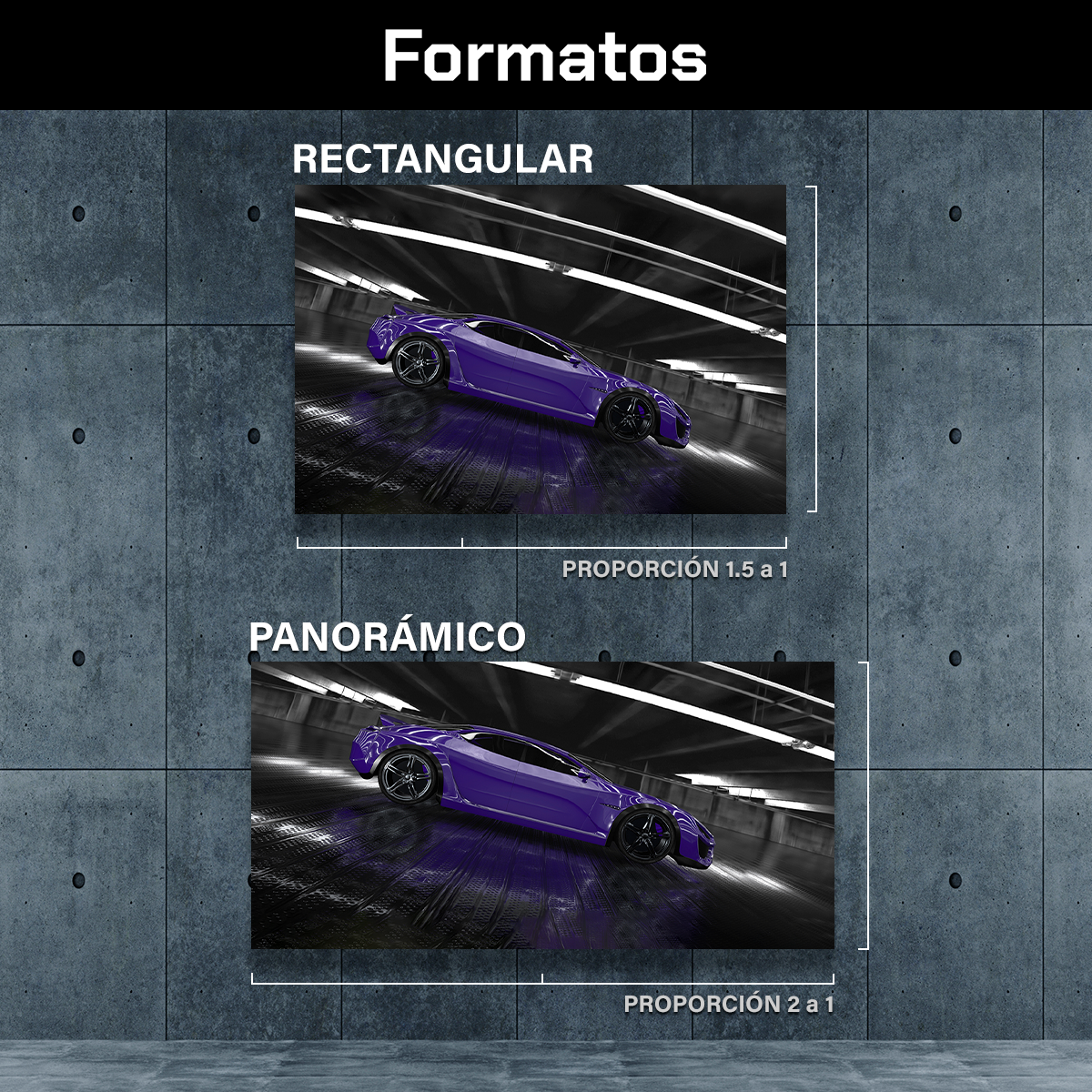 Deportivo Moderno Purpura