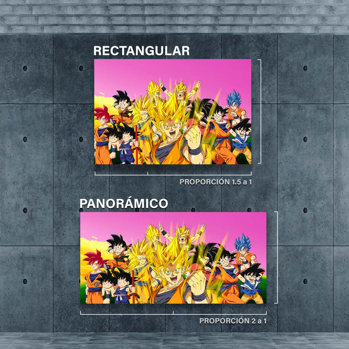 Goku Todas Las Fases