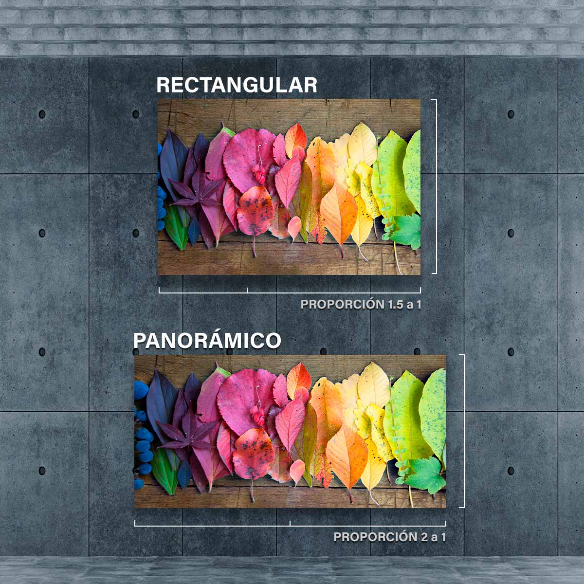 Hojas De Colores FC