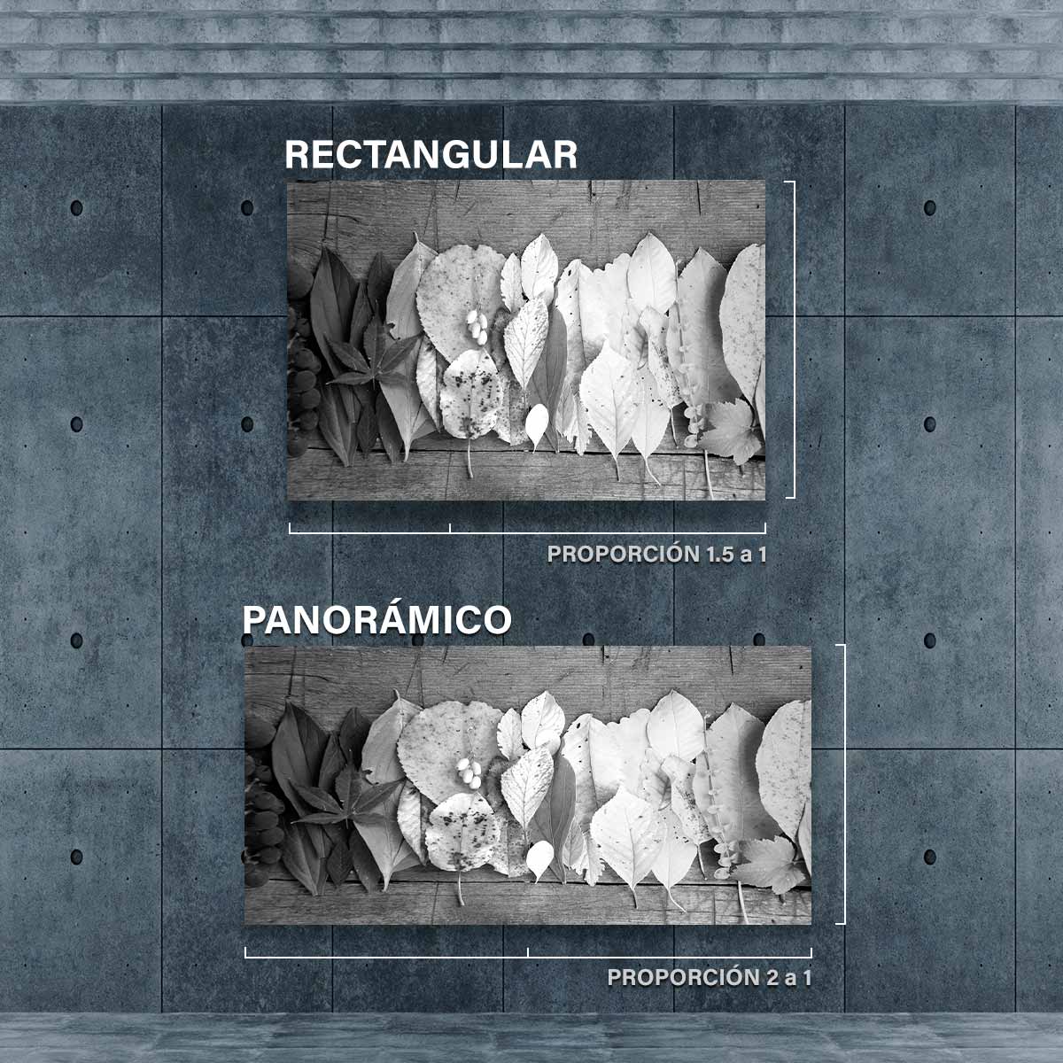 Hojas Sobre Madera BN