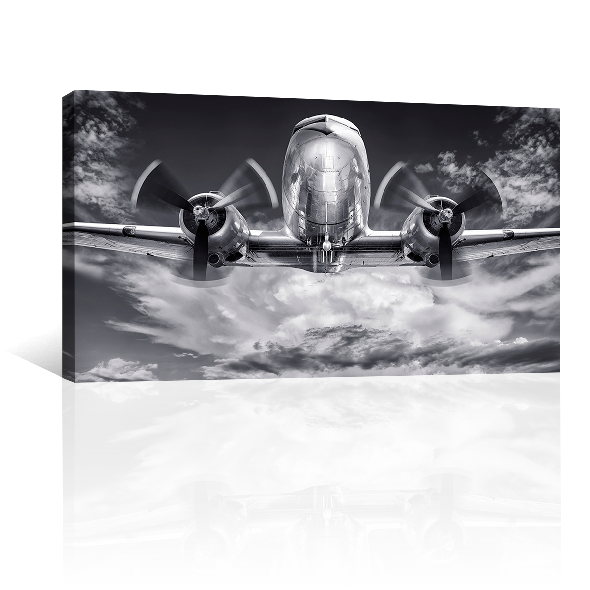 Avion Metalico En Las Nubes