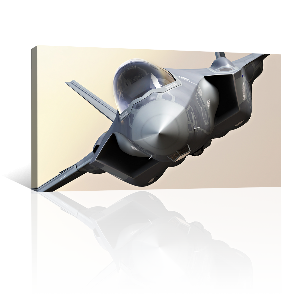 Jet F35 Gris Volando