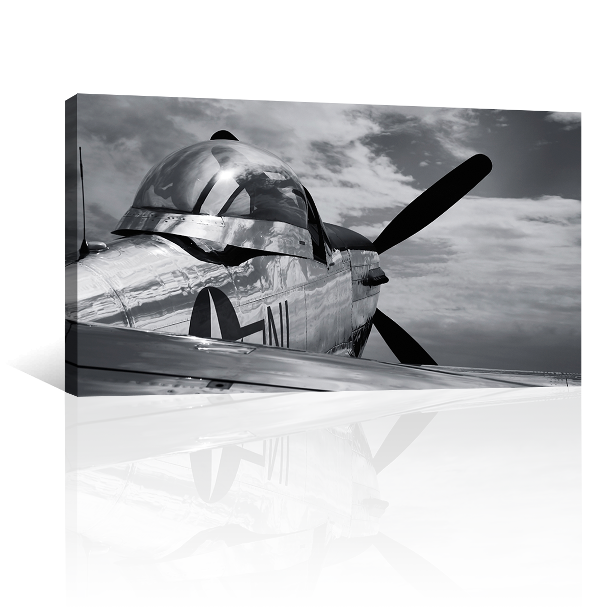 Mustang P51 Antiguo