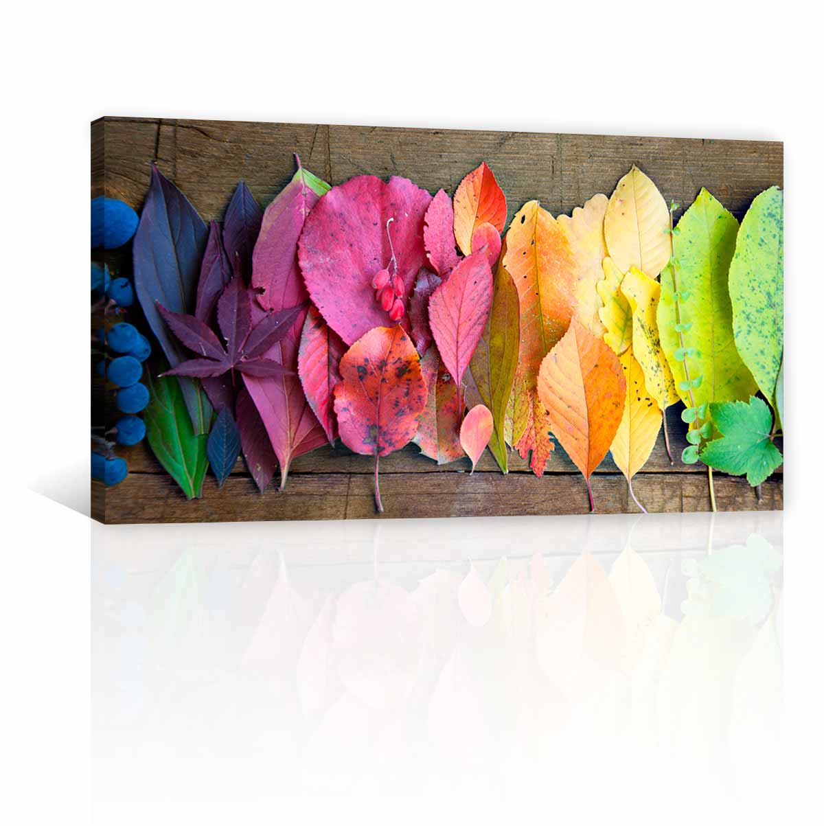 Hojas De Colores FC