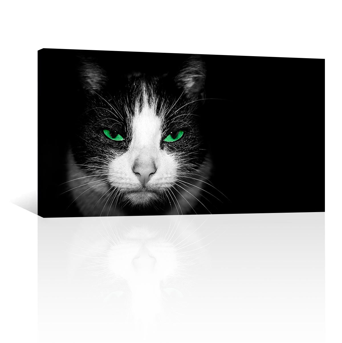Gato con ojos verdes