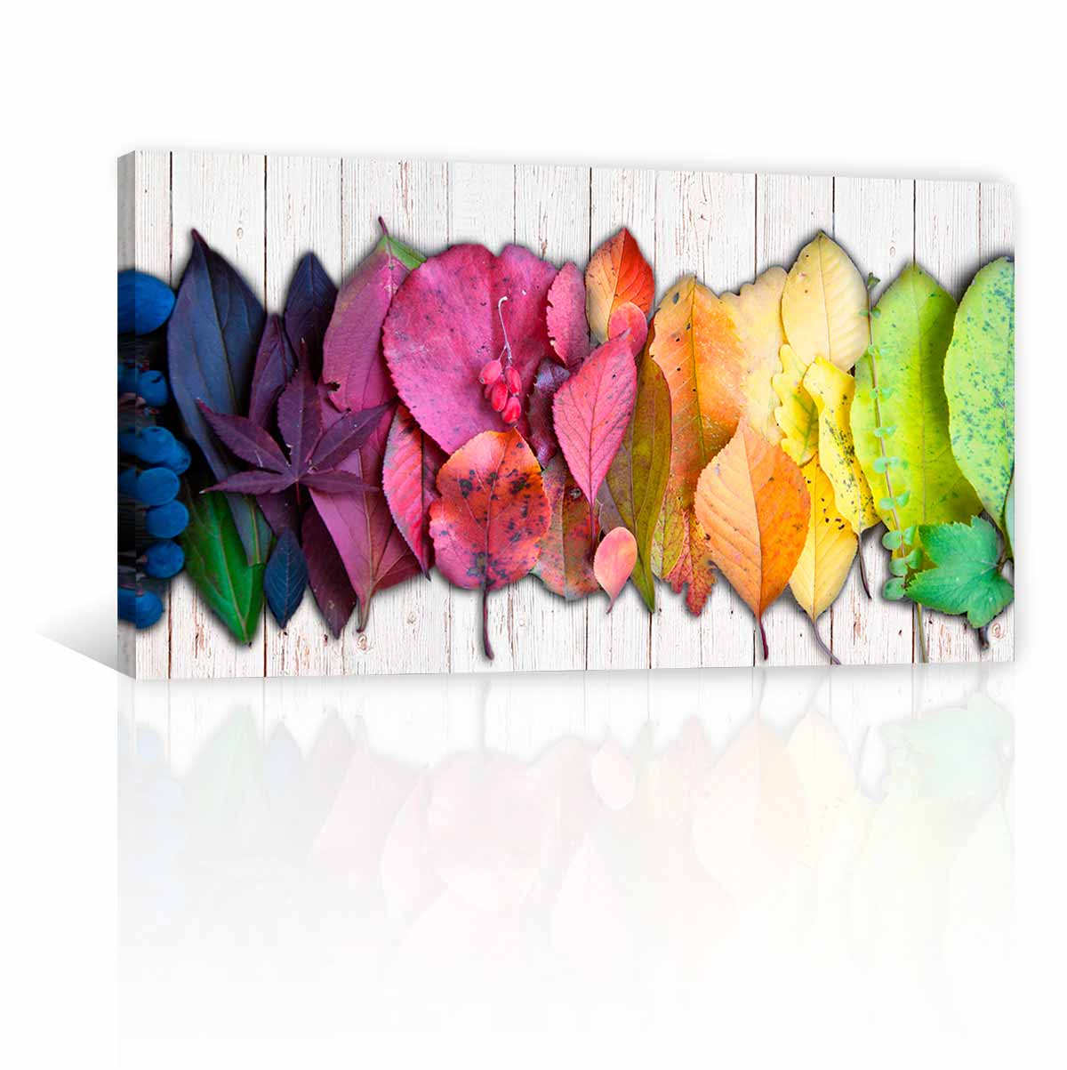 Hojas De Colores FB