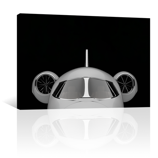 Avión Privado De Frente