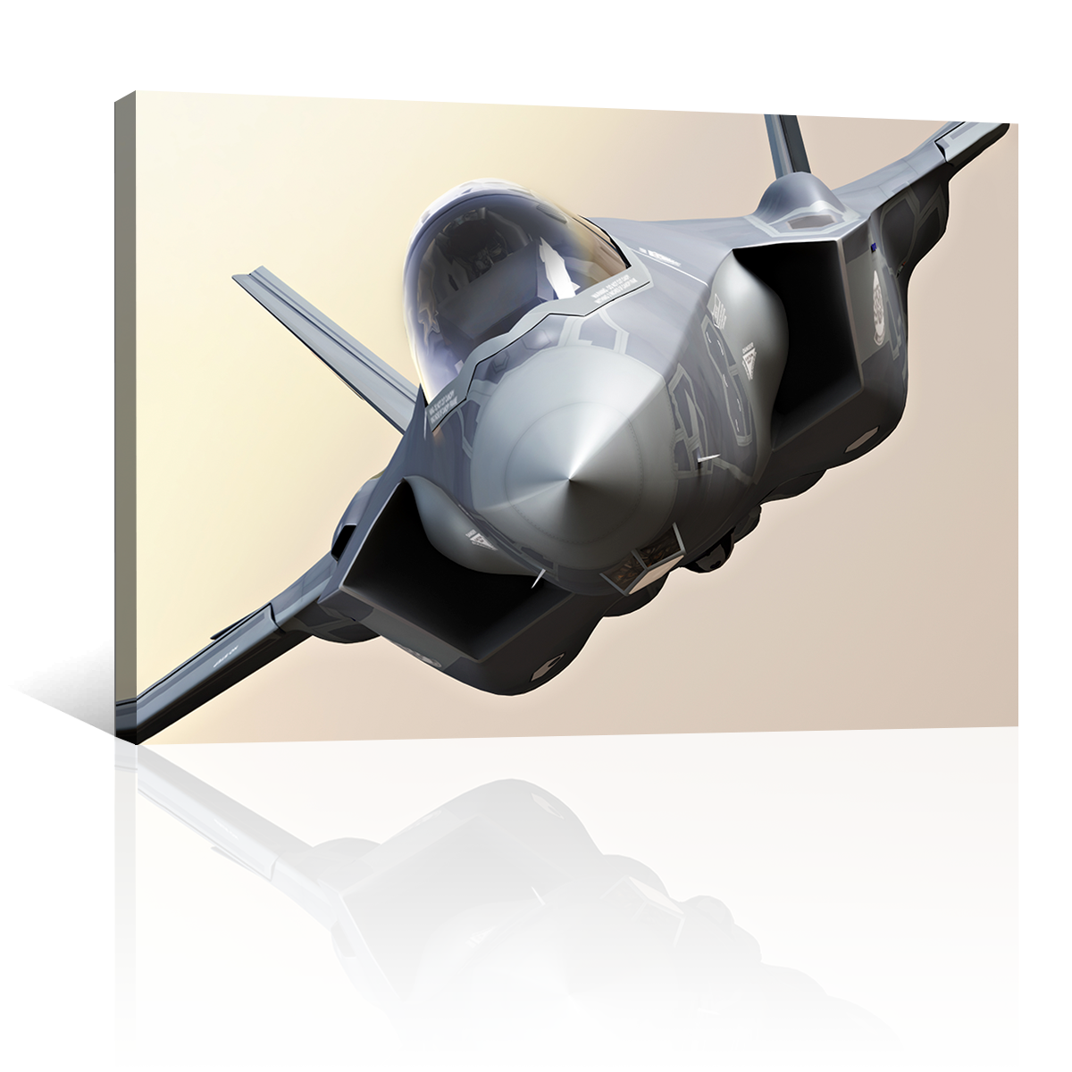Jet F35 Gris Volando