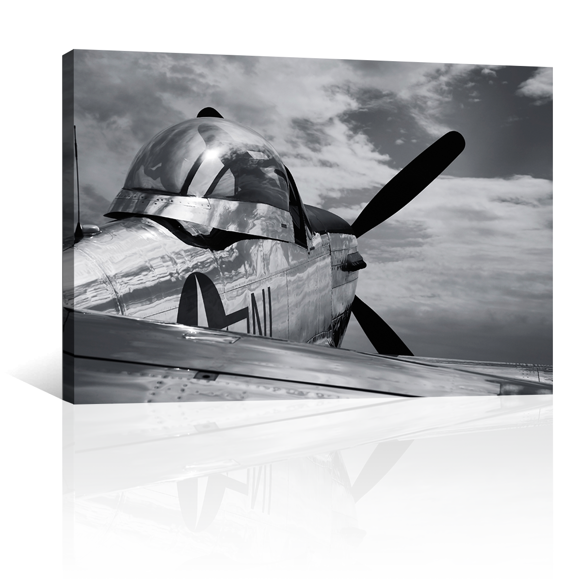 Mustang P51 Antiguo