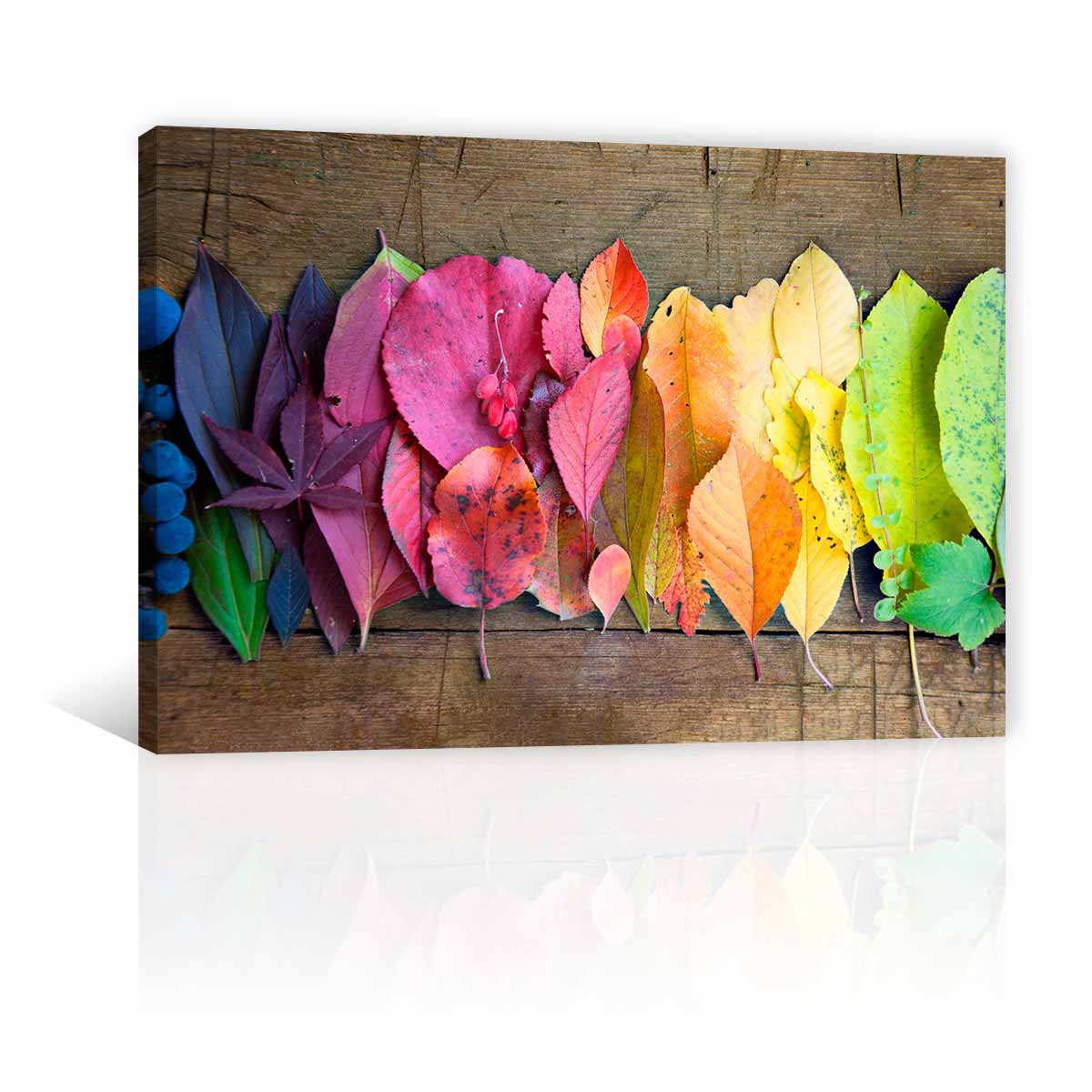 Hojas De Colores FC
