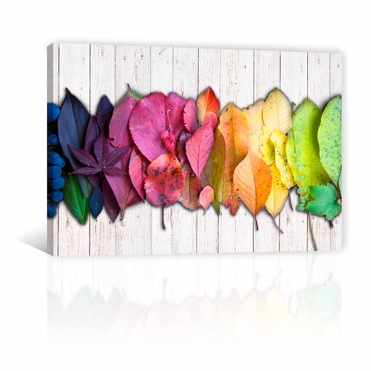 Hojas De Colores FB