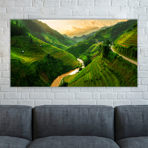 Rice Fields Vietnam