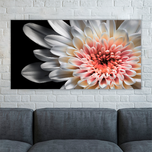 White dahlia
