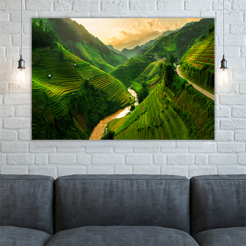 Rice Fields Vietnam