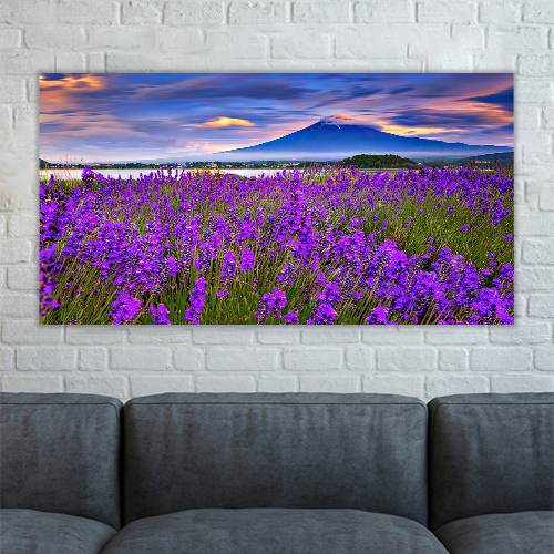 Fiji mountain and Lavander