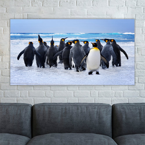 King Pinguins