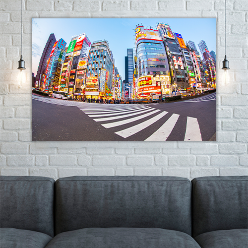 Shinjuku Tokyo Metropolis