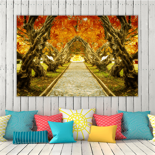 Plumeria Tree Tunnel