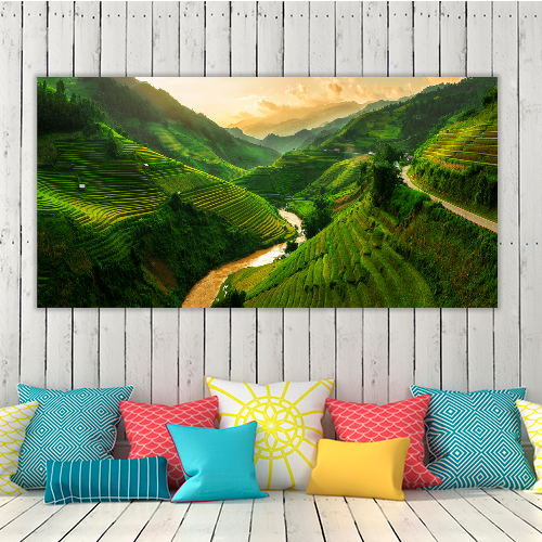 Rice Fields Vietnam