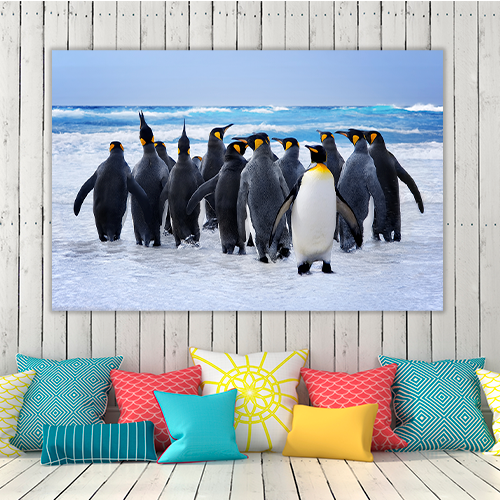 King Pinguins
