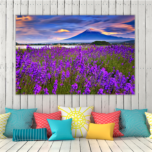 Fiji mountain and Lavander