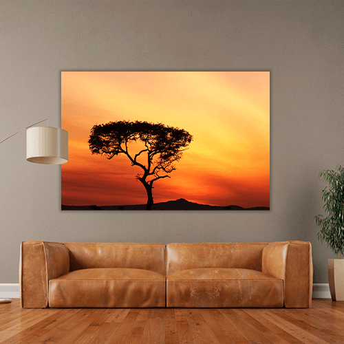 Sunset in a Tree