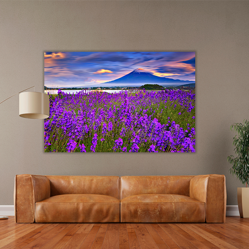Fiji mountain and Lavander