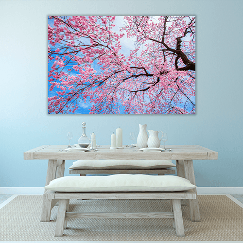 Sakura Season in Spring