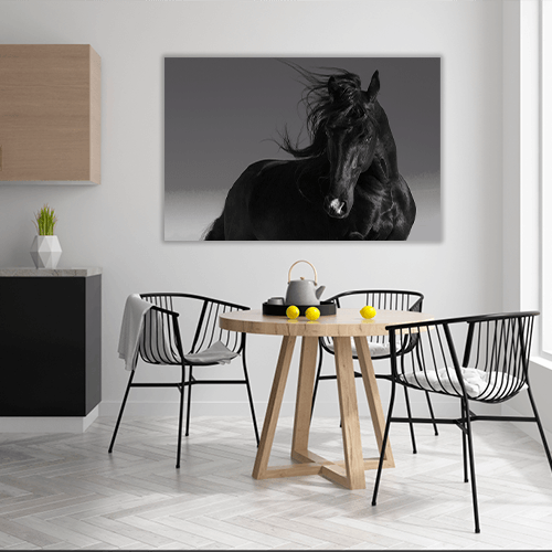 Black Stallion