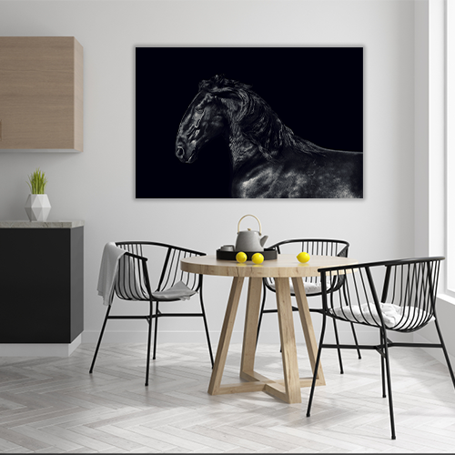 Black kladruber Horse