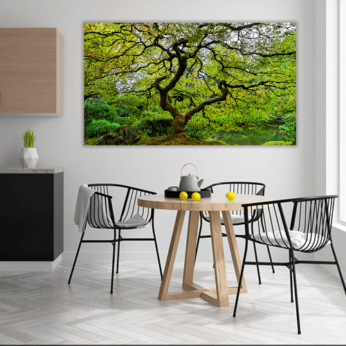 Old Japanese Maple
