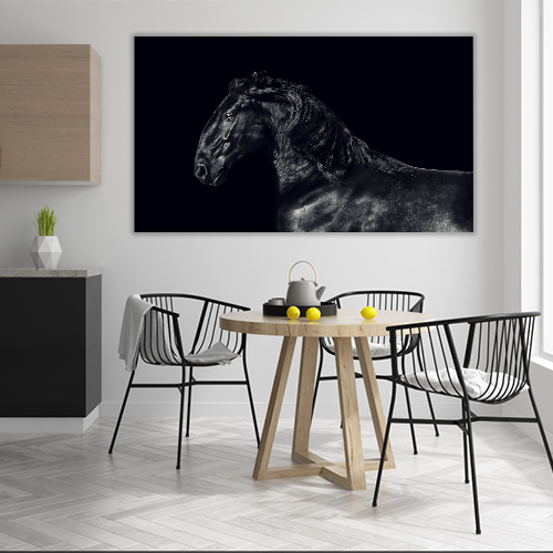 Black kladruber Horse