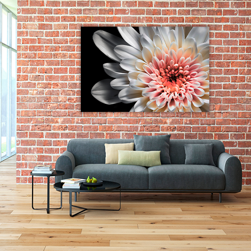White dahlia