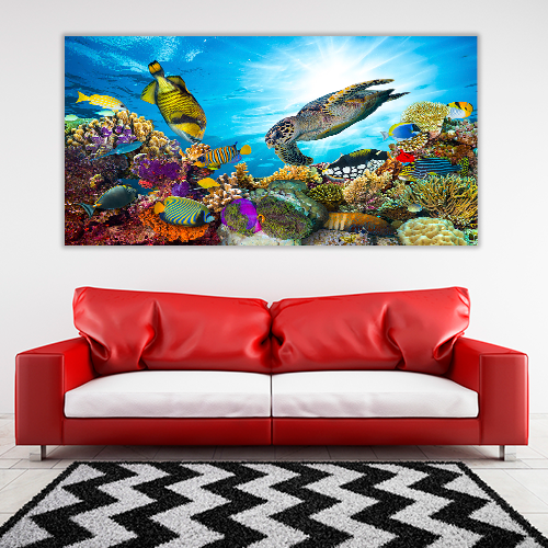 Colorful Coral Reef