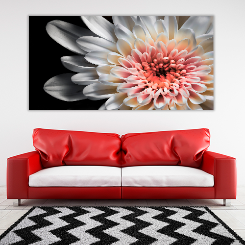 White dahlia