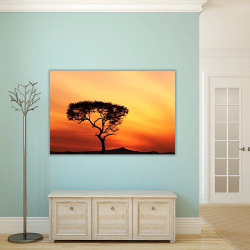 Sunset in a Tree