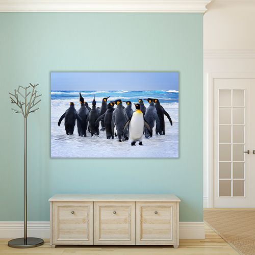 King Pinguins