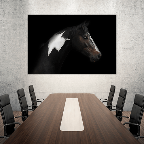 Skewbald Horse