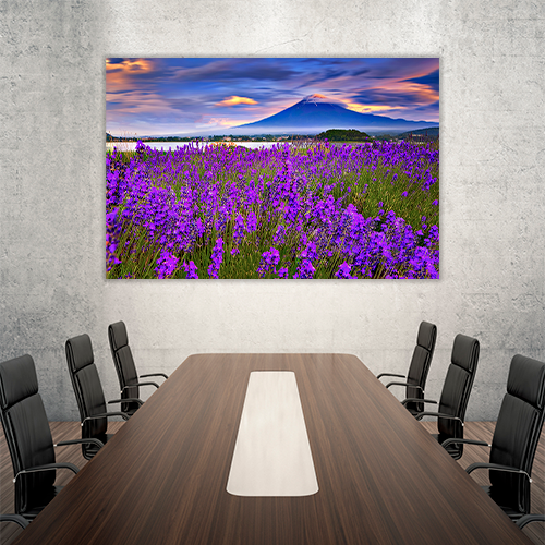 Fiji mountain and Lavander