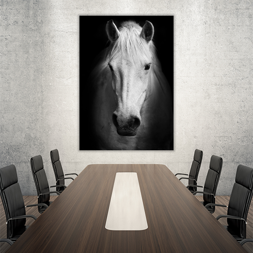 Portrait of a white Horse